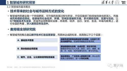 全球城市智慧化转型的遥感洞察 案例研究与地理信息服务赋能