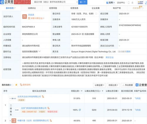 飞利信进军地理遥感领域，在湖北投资设立数字科技新公司